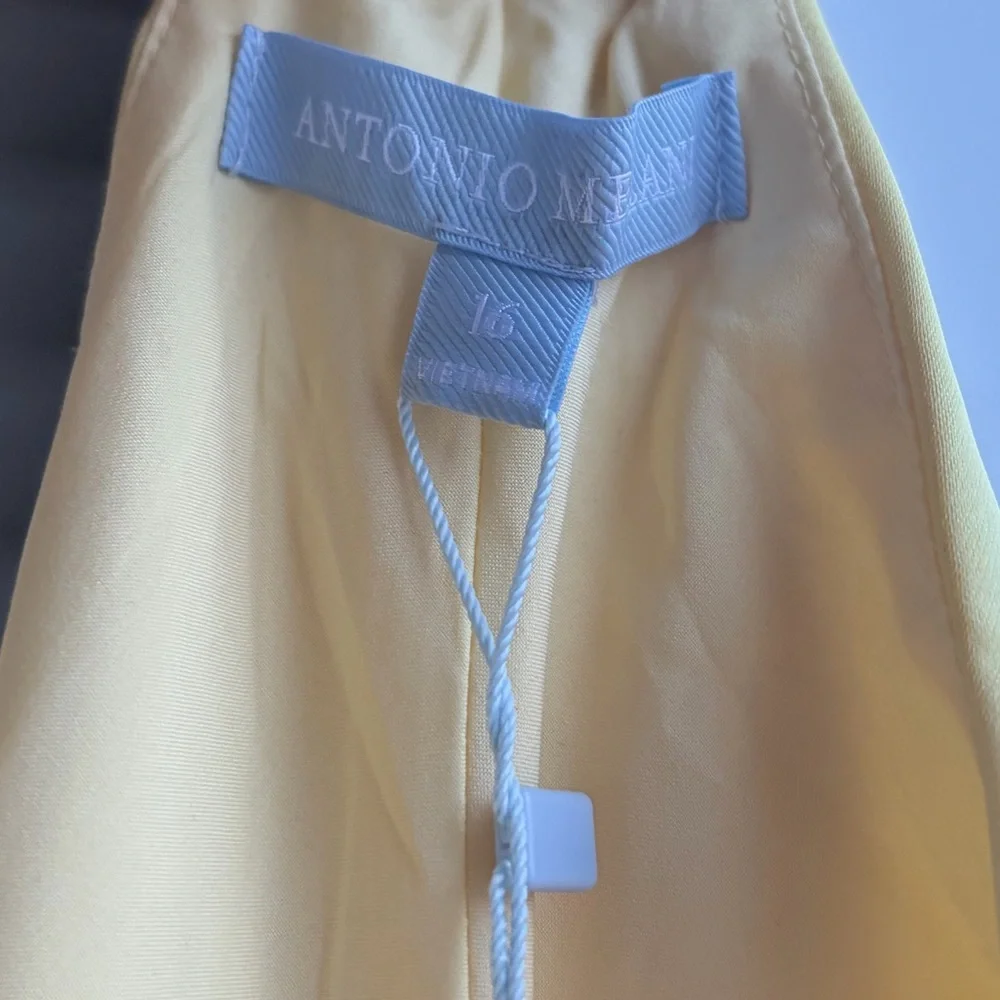 🆕🌼 Antonio Melani Darah Satin Butter Yellow Maxi Dress Size 16 Formal Gown Chic - Picture 14 of 17